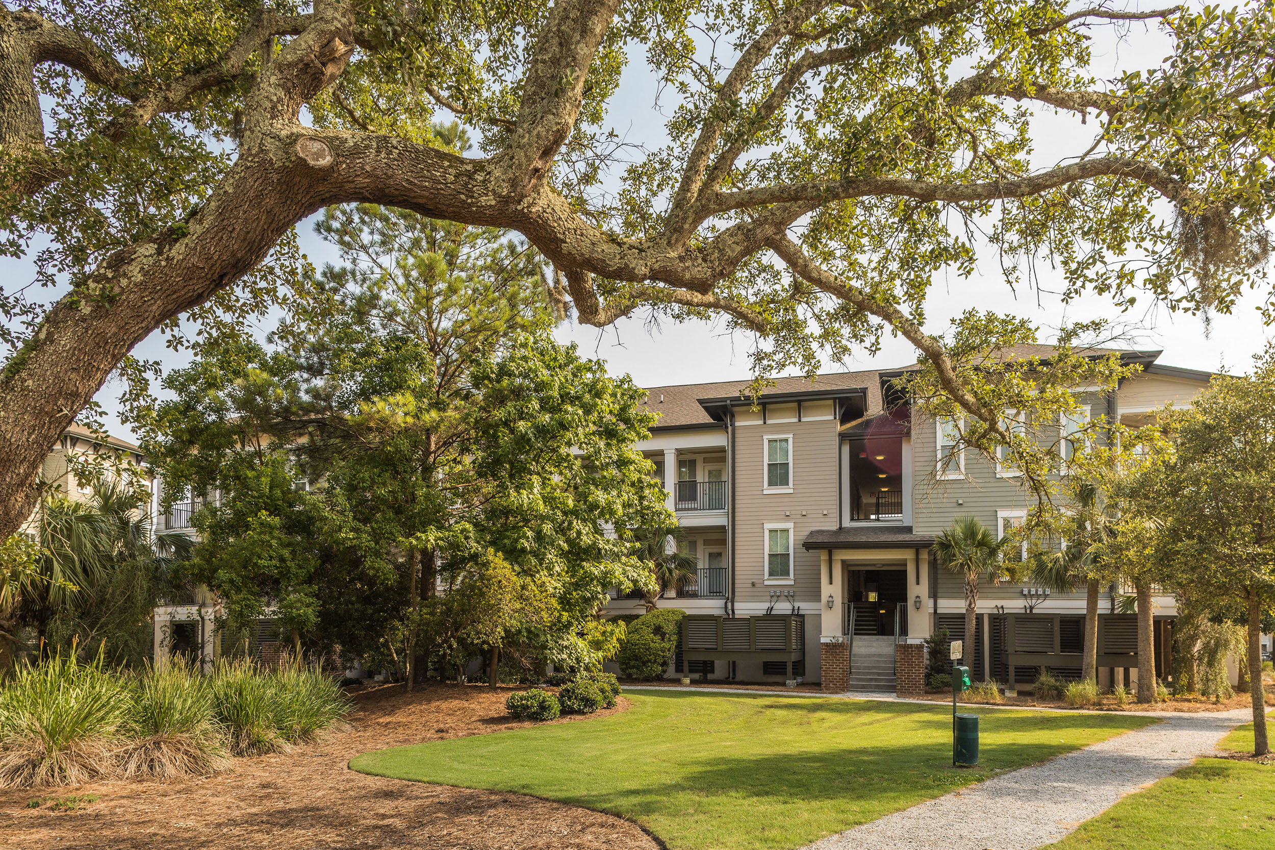 Photos and Video of Talison Row at Daniel Island in Daniel Island, SC